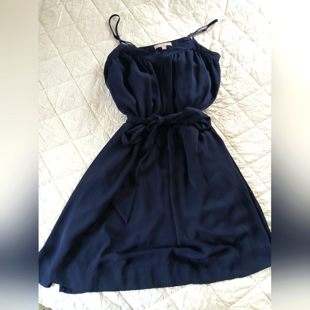 Banana Republic Navy Blue Trapeze Dress
